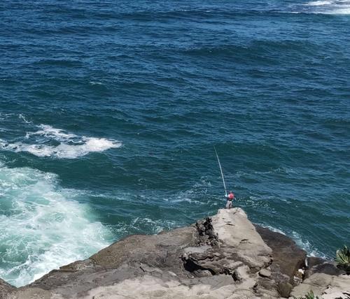 大海钓鱼技巧教程？如何提高钓鱼成功率？