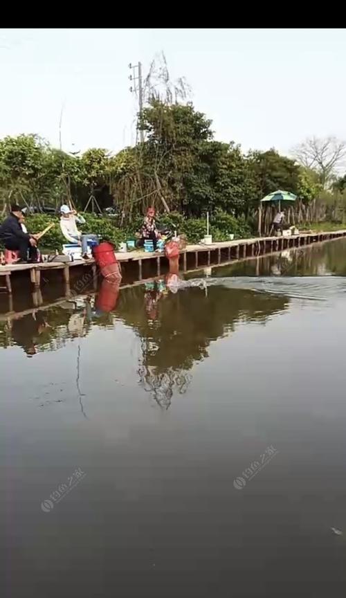 大寒时节如何钓鱼？掌握这些技巧让你满载而归？