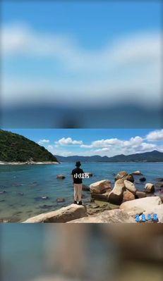 大好河山钓鱼技巧说明？如何提高钓鱼成功率？