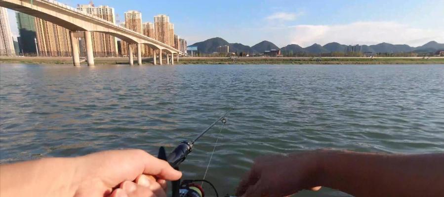 大河边钓鱼的技巧有哪些？如何提高钓鱼成功率？