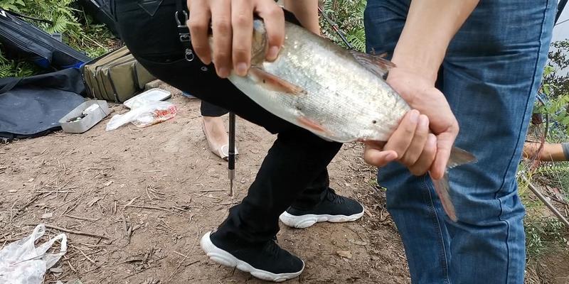 大河边钓鱼技巧有哪些？如何提高钓鱼成功率？