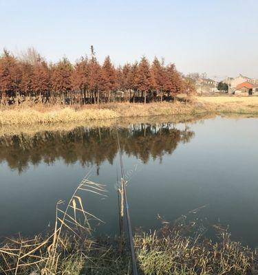 大河道钓鱼技巧有哪些？如何提高钓鱼成功率？