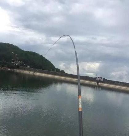 大河道野钓选位技巧是什么？如何找到最佳钓点？