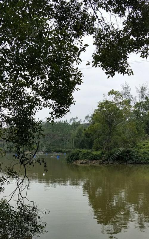 大河道野钓选位技巧是什么？如何找到最佳钓点？