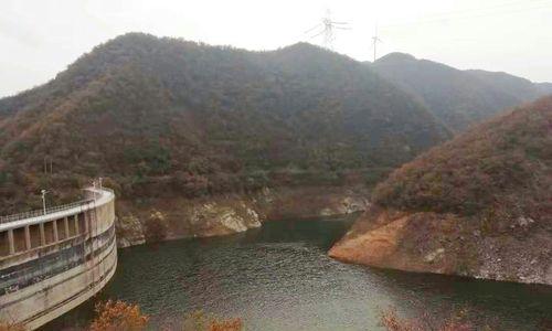 大河堤坝钓鱼方法和技巧是什么？如何提高钓鱼成功率？