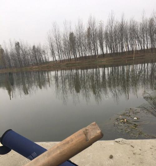 大河钓鱼长竿方法与技巧是什么？如何提高钓鱼效率？