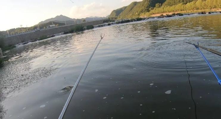 大河浑水钓鱼技巧有哪些？如何提高浑水钓鱼的成功率？