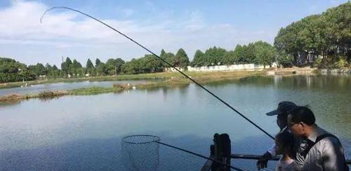 大河浑水钓鱼技巧有哪些？如何提高浑水钓鱼的成功率？