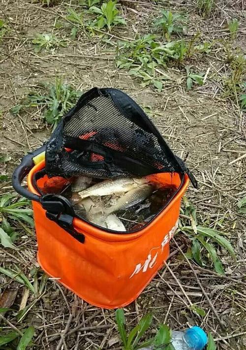 大河里垂钓方法和技巧是什么？如何提高钓鱼成功率？