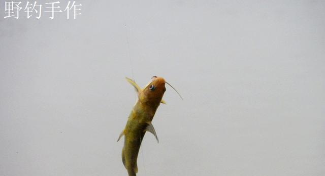 大河里钓鱼技巧海竿怎么用？海竿钓鱼有哪些常见问题？