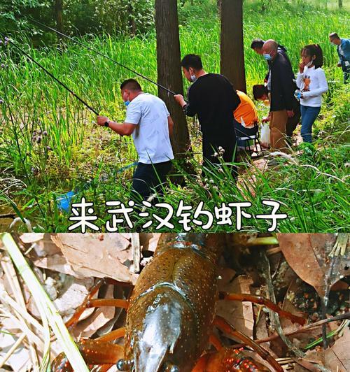 大河里用虾钓鱼技巧有哪些？如何提高钓获率？