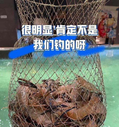 大河里用虾钓鱼技巧有哪些？如何提高钓获率？