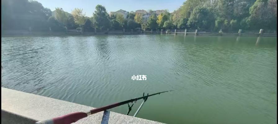 大河流急流水钓鱼技巧有哪些？如何应对河流急流中的钓鱼挑战？
