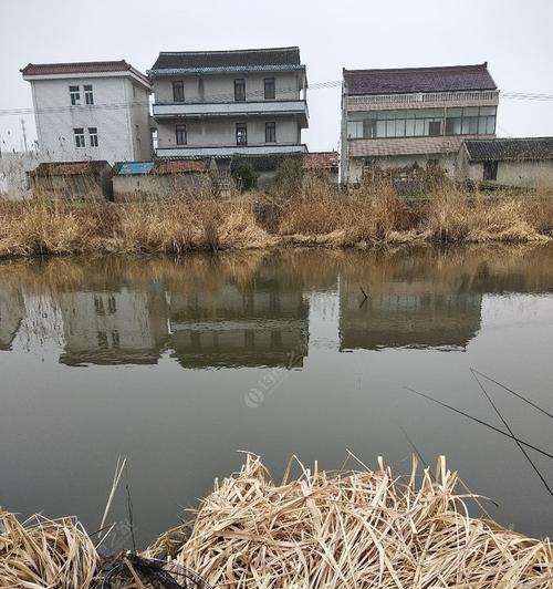 大河流水口钓鱼技巧有哪些？如何提高钓鱼成功率？