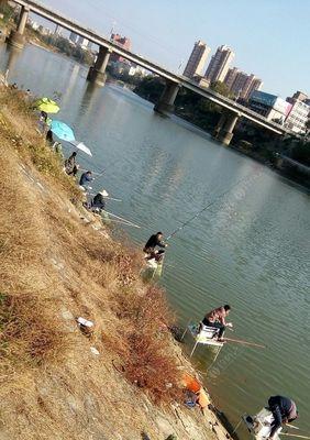 大河浅水钓鱼技巧有哪些？如何提高钓鱼成功率？