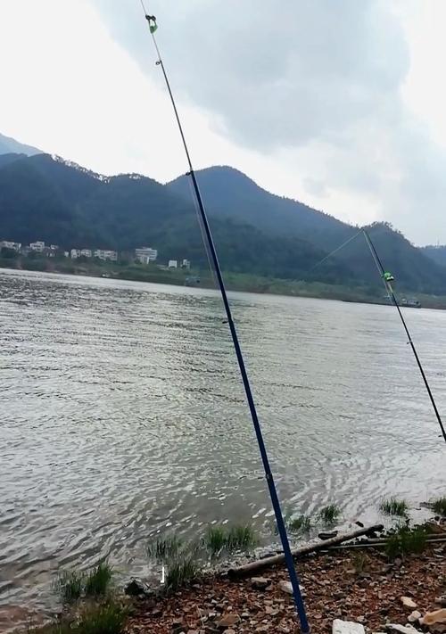 大河深水钓鱼技巧有哪些？如何提高钓鱼成功率？