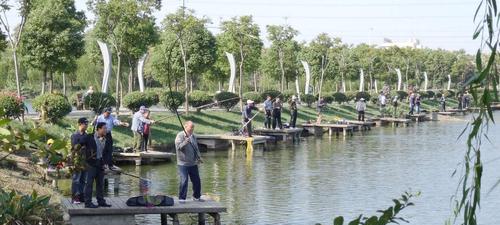 大河手竿野钓技巧有哪些？如何提高野钓成功率？