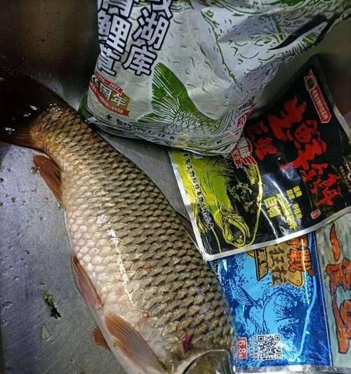 大河野钓夜钓鲤鱼技巧有哪些？如何提高夜钓鲤鱼的成功率？
