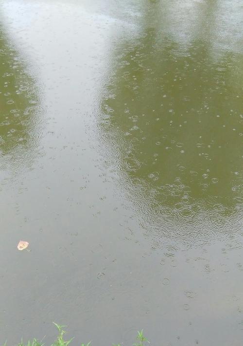 大河阴天钓鱼技巧有哪些？如何提高钓鱼成功率？