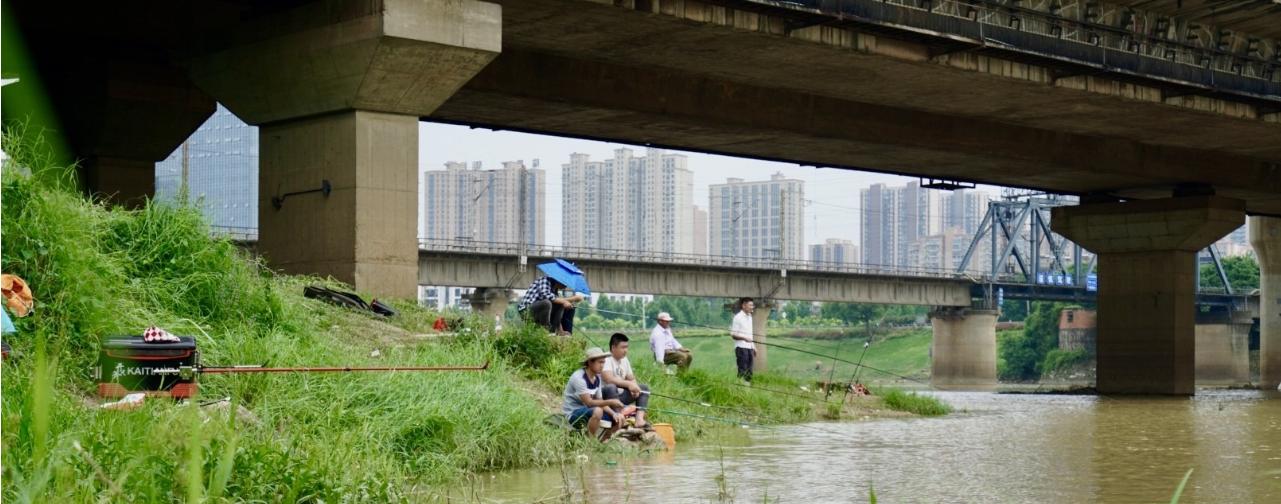 大河涨水切水浑钓鱼技巧是什么？如何应对浑水钓鱼的挑战？
