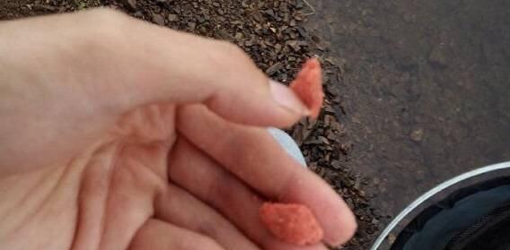 大黑漂钓鱼技巧教程？如何有效提高钓鱼成功率？