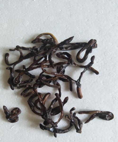 大黑蚯蚓钓鱼技巧有哪些？如何提高钓鱼成功率？
