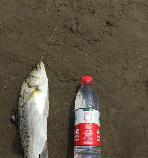 大湖串钩钓鱼技巧有哪些？如何提高钓鱼成功率？
