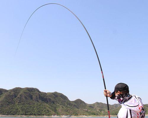 大湖手竿钓鱼技巧有哪些？如何提高钓鱼成功率？
