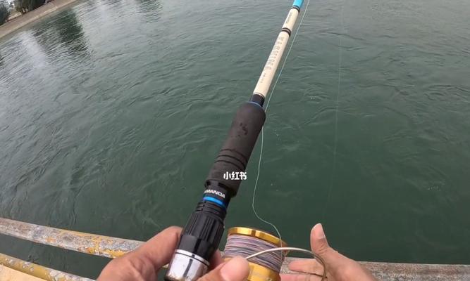 大湖手竿钓鱼技巧有哪些？如何提高钓鱼成功率？