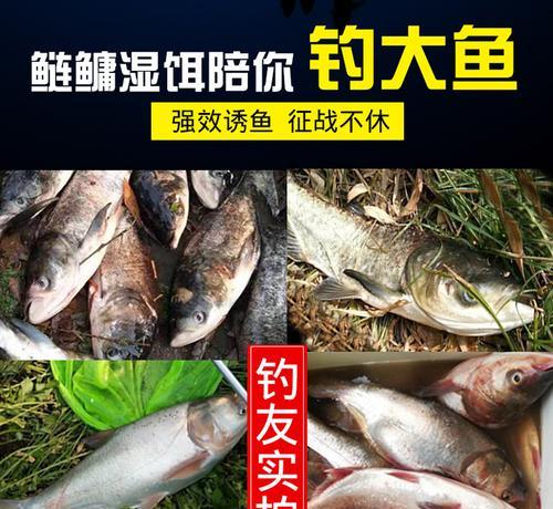 大花鲢钓鱼技巧有哪些？如何提高钓获率？