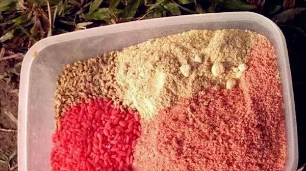 大黄蜂鱼饵如何搭配？搭配技巧有哪些？