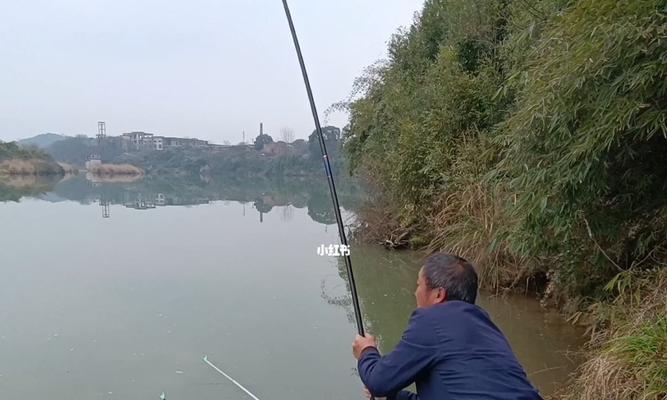 大鲫连杆钓鱼技巧是什么？如何提高连杆率？
