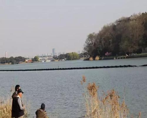 大江钓鱼打窝技巧是什么？如何有效提高钓鱼成功率？