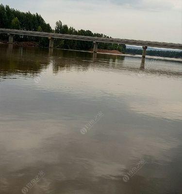 大江钓鱼技巧教程有哪些？如何快速掌握钓鱼技巧？
