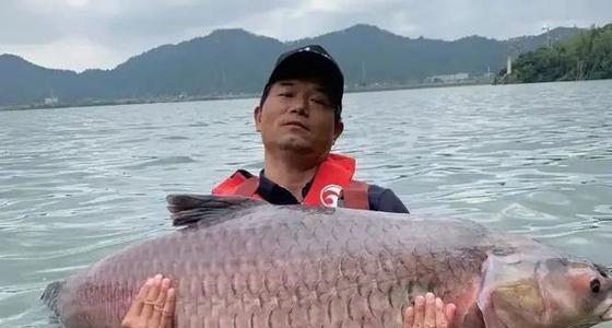 大江面钓鱼技巧有哪些？如何提高钓鱼成功率？