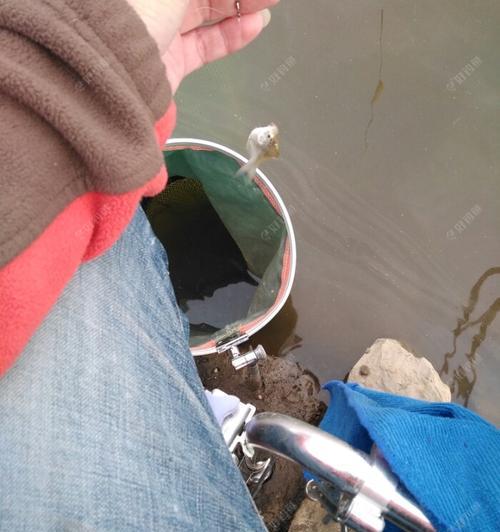 大江走水钓鱼技巧有哪些？如何提高钓鱼成功率？