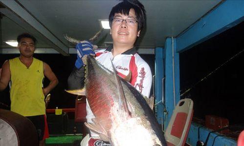 大金枪钓鱼技巧教学？如何提高钓获率？
