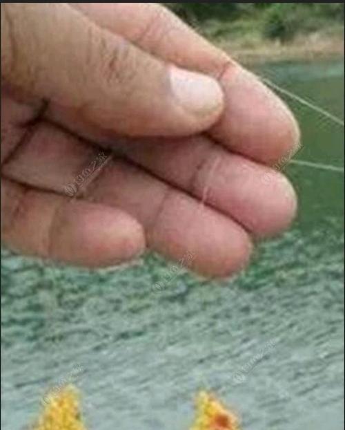 大坑钓鱼调漂技巧是什么？如何掌握正确的调漂方法？