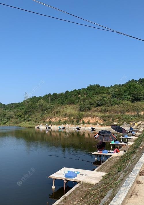 大宽河钓鱼技巧有哪些？如何提高钓鱼成功率？