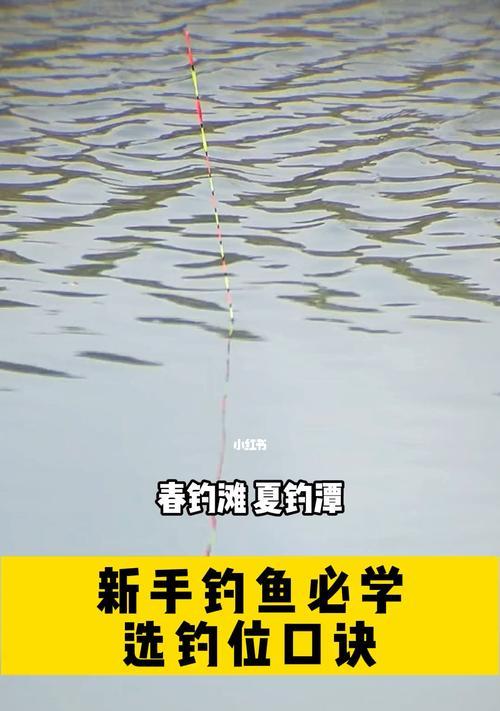 大冷天野外钓鱼技巧有哪些？如何应对冬季钓鱼的挑战？