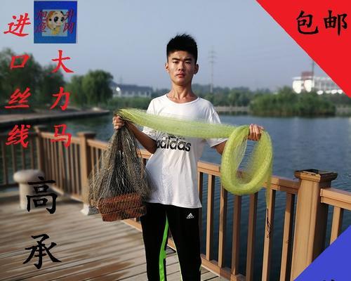 大力马7号线钓鱼技巧有哪些？如何提高钓鱼成功率？