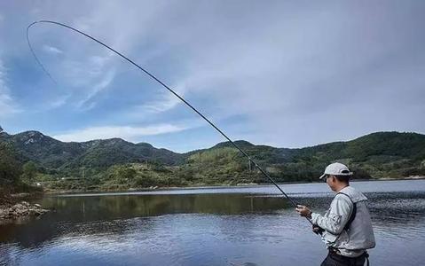 大荔县钓鱼技巧有哪些？如何提高钓鱼成功率？