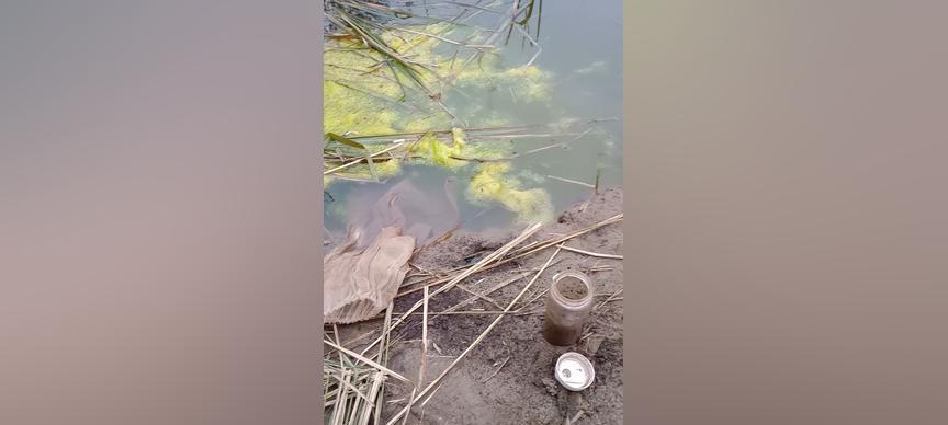 大龄老兵钓鱼技巧有哪些？如何提高钓鱼成功率？