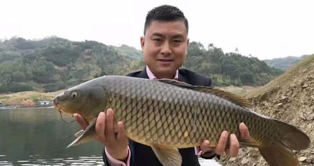 大流水无漂钓鱼技巧是什么？如何提高钓鱼成功率？