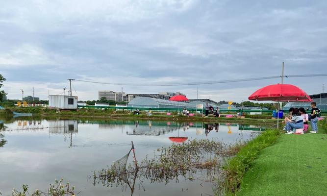 大龙虾钓鱼技巧教学？如何提高钓获率？