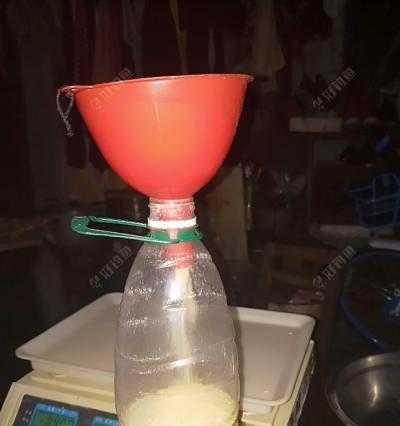 大米粒钓鱼技巧有哪些？如何提高用大米粒钓鱼的成功率？