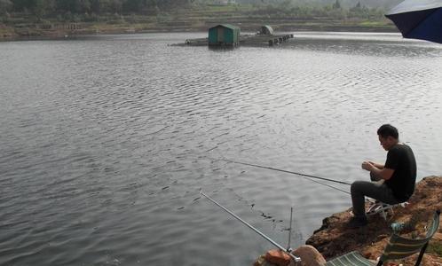 大明湖野钓鲫鱼技巧有哪些？如何提高钓鲫鱼的成功率？