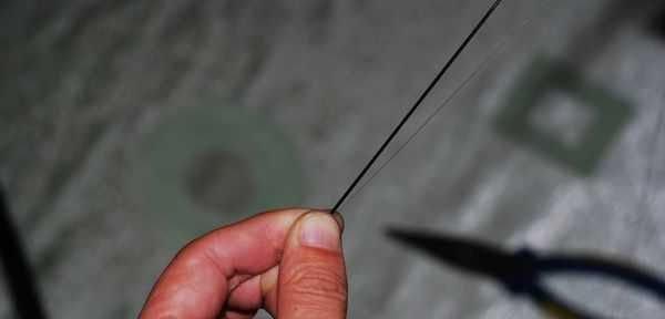 大明虾钓鱼技巧教学？如何提高钓获率？