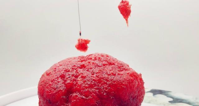 大魔王钓鱼绝密技巧在哪里可以找到？如何快速掌握？