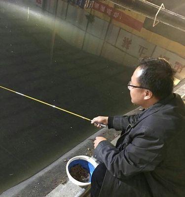 大棚垂钓技巧和方法有哪些？如何提高大棚垂钓的成功率？